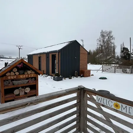 Birch House Apartmán