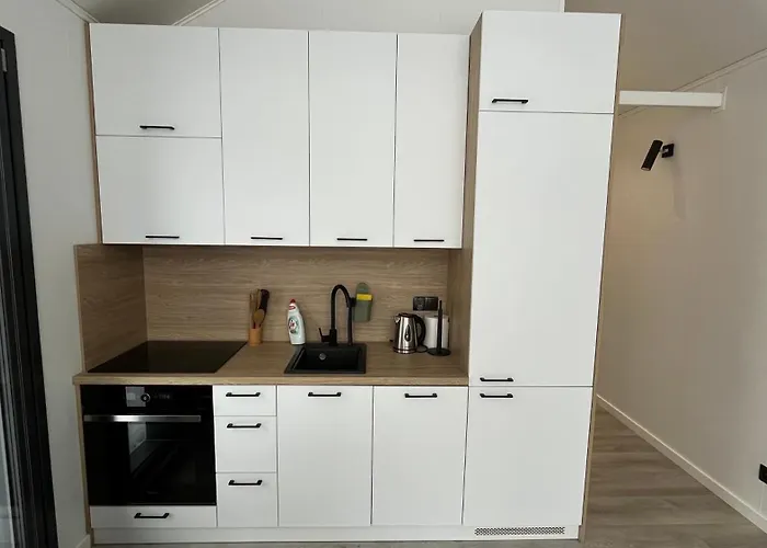 아파트 Birch House 이흘라바